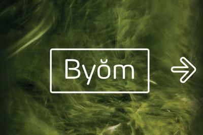 Byom - 4 fonts + 1 icons set Free Download