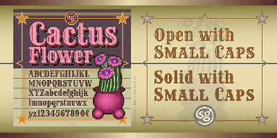 Cactus Flower SG Free Download