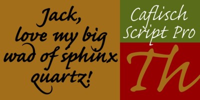 Caflisch Script Pro Font