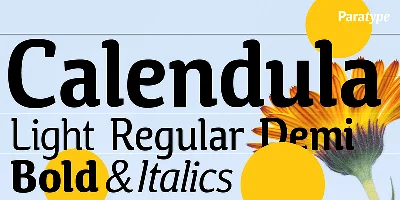Calendula Font