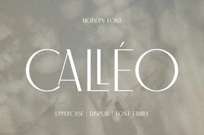 Calleo Font