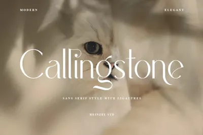 Callingstone Modern Sans Serif Font Free Download