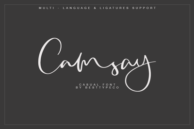 Camsay Free Download