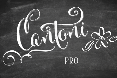 Cantoni Pro Hand Lettered Font Free Download