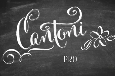 Cantoni Pro Hand Lettered Font