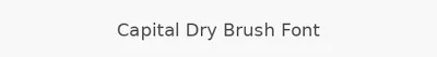 Capital Dry Brush Font