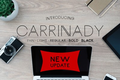 Carrinady Family Font