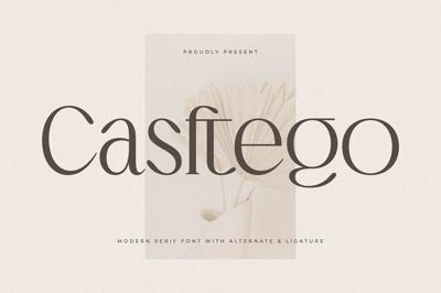 Casftego Modern Serif Font Free Download