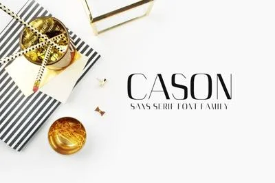 Cason Sans Serif 5 Font Family