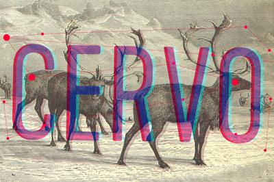 Cervo family fonts Free Download