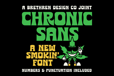 Chronic Sans Display Font Free Download