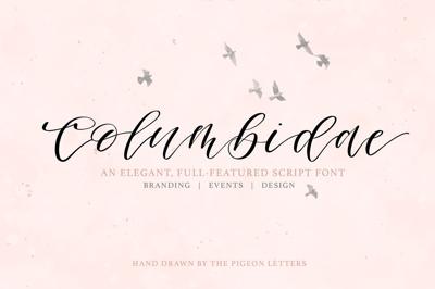 Columbidae Elegant Calligraphy Font Free Download