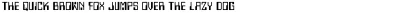 Computer Font