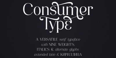 Consumer Type Free Download