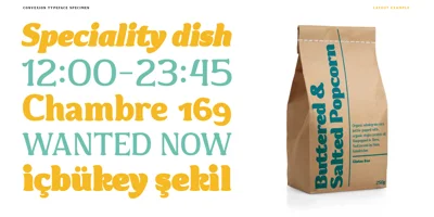 Convexion Font