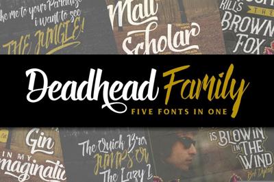 Deadhead Typeface Family Free Download