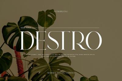 DESTRO Ligature Serif Font Free Download