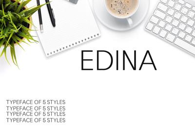 Edina Sans Serif Minimal Font Pack Free Download