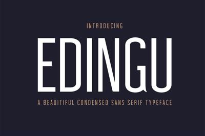 Edingu Sans Serif Font Family Free Download