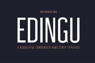 Edingu Sans Serif Font Family