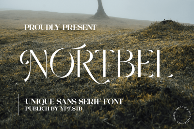 Elegant Sans Serif Font