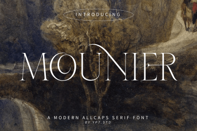 Elegant Serif Font