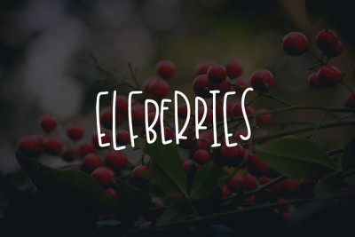 Elfberries Font