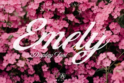 Emely Script Font