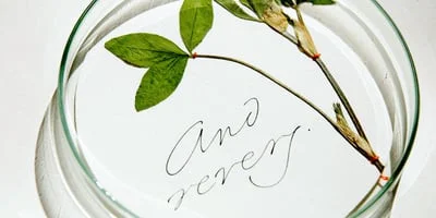 Emily In White Font