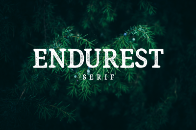 Endurest - Serif Font