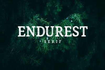 Endurest - Serif Font