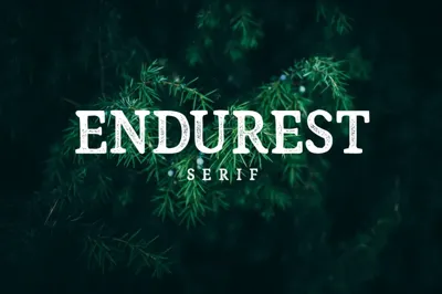 Endurest - Serif Free Download