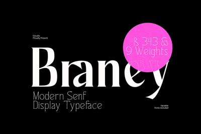 Ez-Barney - Modern Serif Display Free Download