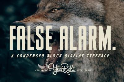 False Alarm Typeface Free Download