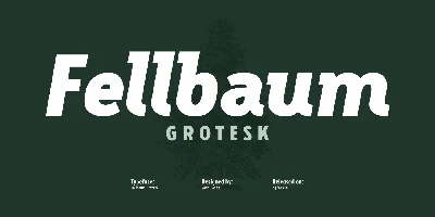 Fellbaum Grotesk Font