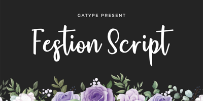 Festion Script Free Download