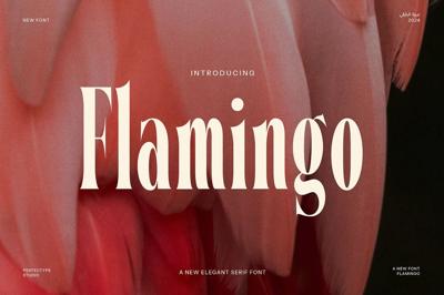 Flamingo Elegant Serif Font Free Download