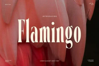 Flamingo Elegant Serif Font