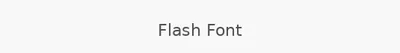 Flash Font