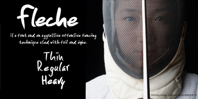 Fleche Free Download