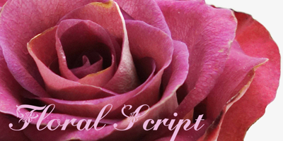 Floralscript Free Download