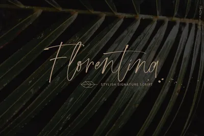 Florentina stylish script font Free Download