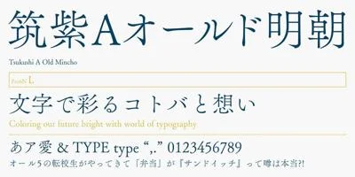 FOT-TsukuAOldMin Pr6N Font