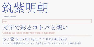 FOT-TsukuMin Pr6N Font Free Download