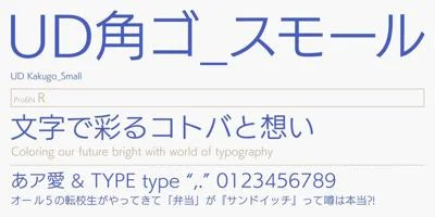 FOT-UDKakugo Small Pr6N Font