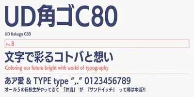FOT-UDKakugoC80 Pro Font