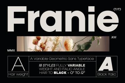 Franie Geometric Sans Font