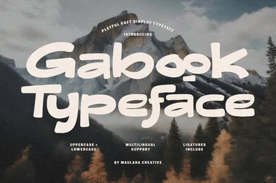 Gabook Playful Soft Display Typeface