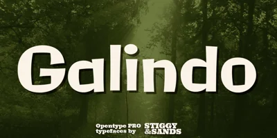 Galindo Pro Font
