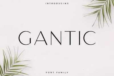 Gantic Font Family - Sans Serif